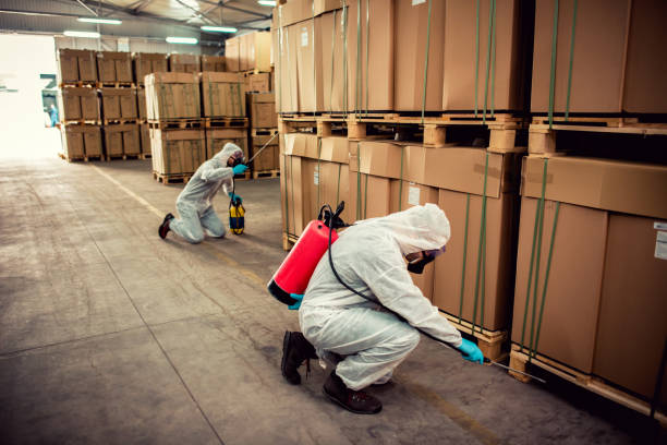 Best Cockroach Control Services  in Four Corners, MT