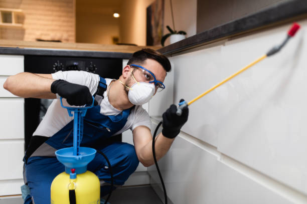 Best Pest Control for Businesses  in Four Corners, MT