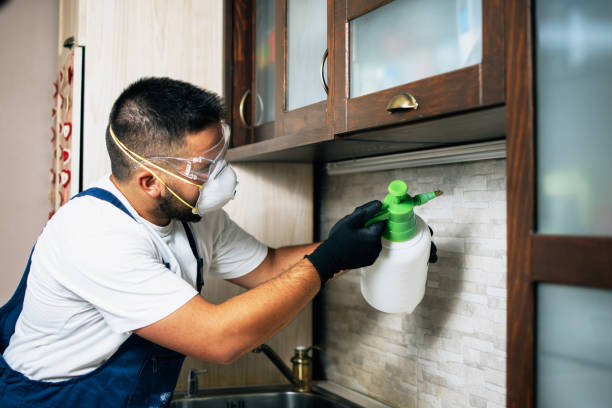 Reliable Four Corners, MT Pest Control Solutions