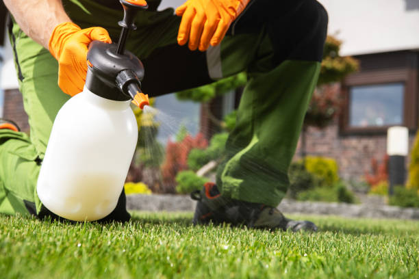 Best Pest Control for Businesses  in Four Corners, MT