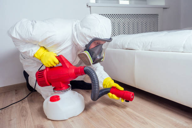 Best Pest Control Near Me  in Four Corners, MT