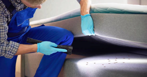 Best Local Pest Control Services  in Four Corners, MT