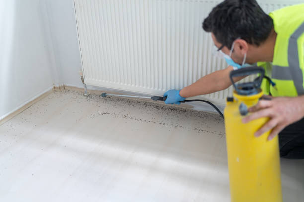 Best Pest Control Cost  in Four Corners, MT